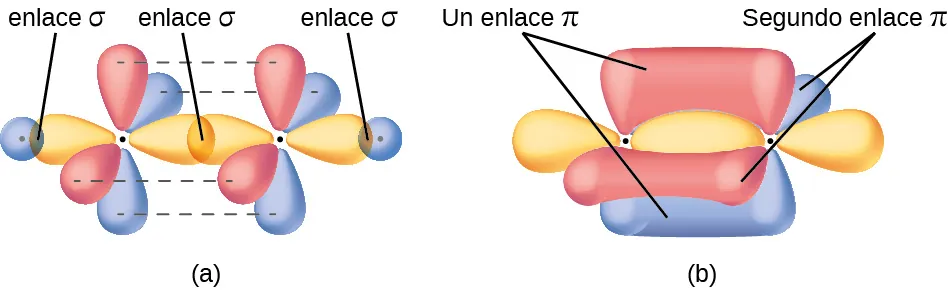 Se muestran dos diagramas marcados, "a" y "b". El diagrama a muestra dos átomos de carbono con dos orbitales tipo globo de color púrpura dispuestos en un plano alrededor de cada uno de ellos, y cuatro orbitales tipo globo de color rojo dispuestos a lo largo de los ejes y y z perpendiculares al plano de la molécula. Hay una superposición de dos de los orbitales púrpura entre los dos átomos de carbono. Los otros dos orbitales púrpuras que miran hacia el exterior de la molécula se muestran interactuando con los orbitales azules esféricos de dos átomos de hidrógeno. El diagrama b representa una imagen similar a la del diagrama a, pero los orbitales rojos y verticales están interactuando por encima y por debajo y por delante y por detrás del plano de la molécula para formar dos áreas marcadas como "Un enlace pi" y "Segundo enlace pi", respectivamente.