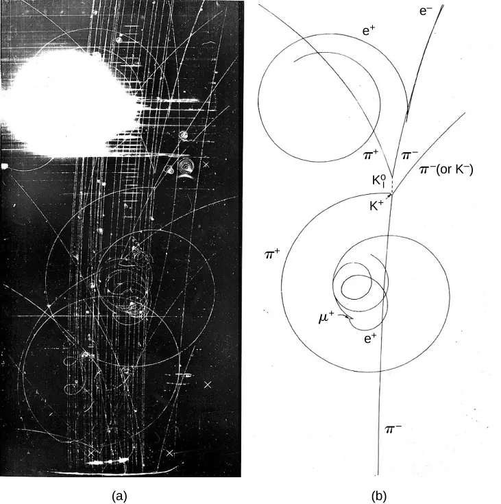 Figure a shows a photograph with a black background and a white pattern of swirls and lines on it. There is a bright white spot on the top left. Figure b shows the same pattern as a line drawing. It is labeled in various places with names of particles.