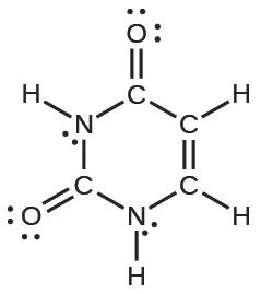 Se muestra una estructura de anillo hexagonal de Lewis. Desde la parte superior del anillo, tres átomos de carbono, un átomo de nitrógeno, un átomo de carbono y un átomo de nitrógeno están unidos con enlaces simples entre sí. El carbono superior está unido con enlace simple a un oxígeno, el segundo y el tercer carbono y el átomo de nitrógeno están unidos con enlace simple a un átomo de hidrógeno. El siguiente carbono está unido con enlace simple a un átomo de oxígeno y el último nitrógeno está unido con enlace simple a un átomo de hidrógeno. Los átomos de oxígeno tienen dos pares solitarios de electrones y los de nitrógeno un par de electrones solitarios.