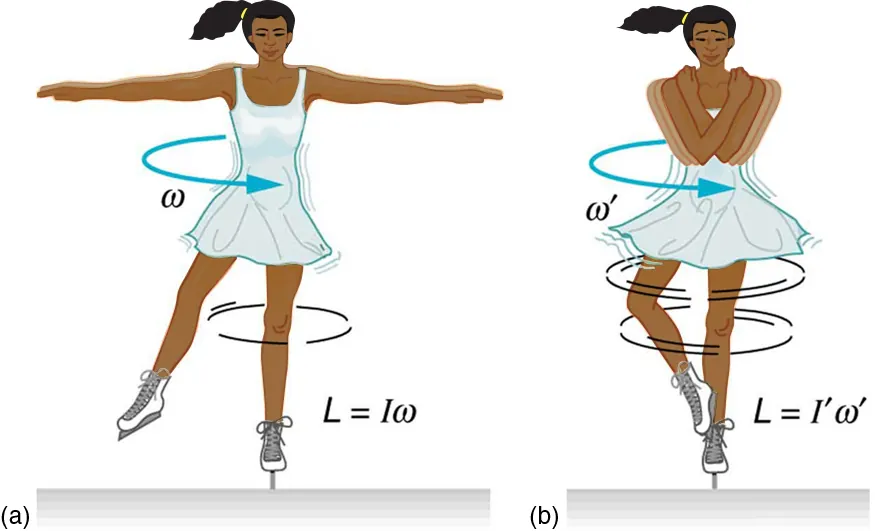 The image a shows an ice skater spinning on the tip of her skate with both her arms and one leg extended. The image b shows the ice skater spinning on the tip of one skate, with her arms crossed and one leg supported on another.