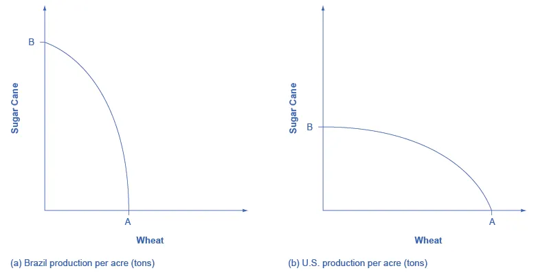 This graph shows two images. Both images have y-axes labeled “Sugar Cane” and x-axes labeled “Wheat.” In image (a), Brazil’s Sugar Cane production is nearly double the production of its wheat. In image (b), the U.S.’s Sugar Cane production is nearly half the production of its wheat.