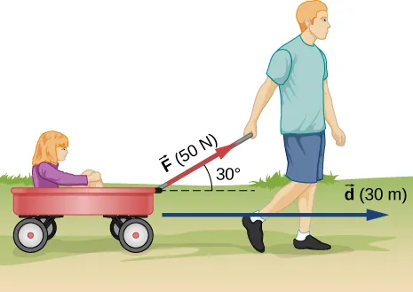Una persona hala de una carretilla con una niña dentro. La persona hala con un vector de fuerza F de 50 Newtons con un ángulo de 30 grados respecto a la horizontal. El desplazamiento es un vector d de 30 metros.