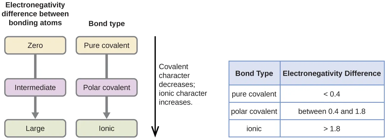 Electronegativity Difference Bond Type Chart