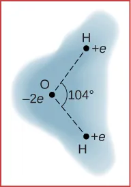 Se muestra una representación esquemática de la nube de electrones externa de una molécula de agua neutra. Tres átomos están en los vértices de un triángulo. El átomo de hidrógeno tiene carga q positiva y el átomo de oxígeno tiene carga q negativa, y el ángulo entre la línea que une cada átomo de hidrógeno con el átomo de oxígeno es de ciento cuatro grados. La densidad de la nube se muestra como mayor en el átomo de oxígeno.