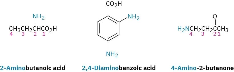 The structures of 2-aminobutanoic acid, 2,4-diaminobenzoic acid and 4-amino-2-butanone. The carbon atoms of 2-aminobutanoic acid and 4-amino-2-butanone are numbered explicitly.
