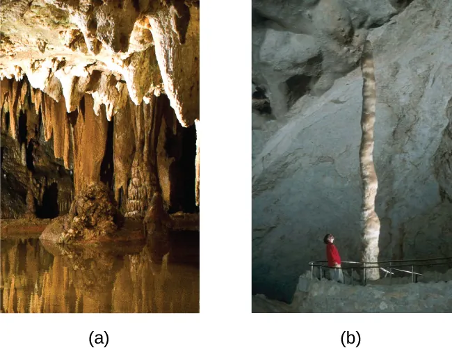 Se muestran dos fotografías marcadas como "a" y "b". La foto a muestra estalactitas que se aferran al techo de una cueva, mientras que la foto b muestra una estalagmita que crece desde el suelo de una cueva.