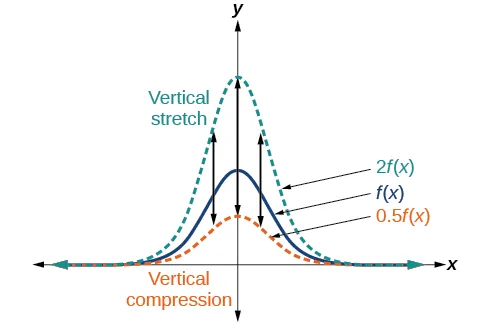 Graph of a function that shows vertical stretching and compression.