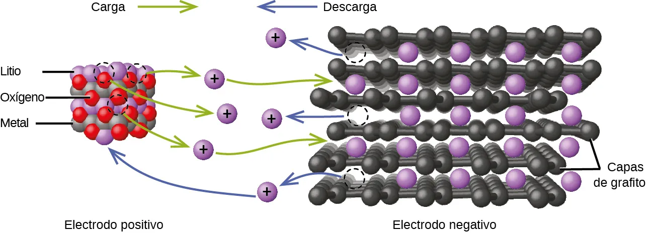 Esta figura muestra un modelo del flujo de carga en una batería de ion de litio. A la izquierda, una estructura aproximadamente cúbica formada por esferas rojas, grises y púrpuras que se alternan, está marcada abajo como "Electrodo positivo". Las esferas púrpuras se identifican con la marcación "litio". Las esferas grises se identifican con la marcación "Metal". Las esferas rojas se identifican con la marcación "oxígeno". Encima de esta estructura está la marcación "Carga" seguida de una flecha verde que apunta a la derecha. A la derecha hay una figura con capas de esferas negras interconectadas con esferas púrpuras situadas en los huecos entre las capas. Las capas negras están marcadas como "capas de grafito". Debajo de la estructura púrpura y negra está la marcación "Electrodo negativo". Encima está la marcación "Descarga", que va precedida de una flecha azul que apunta a la izquierda. En el centro del diagrama, entre las dos estructuras, hay seis esferas de color púrpura, cada una de las cuales está marcada con un símbolo "+". Tres flechas verdes curvas se extienden desde la estructura roja, púrpura y gris hasta cada una de las tres esferas púrpura marcadas como más cercanas. Las flechas curvas verdes se extienden desde el lado derecho de la parte superior e inferior de estas tres esferas púrpura marcadas como más hasta la estructura de capas negra y púrpura. Tres flechas azules se extienden desde la estructura de capas púrpura y negra hasta las tres esferas púrpura marcadas restantes, en el centro del diagrama. La base de cada flecha tiene un círculo formado por una línea curva discontinua en la estructura de capas. La más baja de las tres esferas púrpura marcadas con más a la que llegan las flechas azules tiene una segunda flecha azul que se extiende desde su lado izquierdo y que apunta a una esfera púrpura en la estructura púrpura, verde y gris.