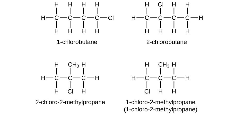 Four structural formulas are provided. The first has a hydrocarbon chain with a length of four C atom. All bonds are single. Nine H atoms are attached and a single C l atom is attached at the far right end of the structure which is labeled 1 dash chlorobutane. The second has a hydrocarbon chain with a length four C atoms. All bonds are single. Nine H atoms are attached and a single C l atom is attached above the second carbon counting left to right. This structure is labeled 2 dash chlorobutane. The third has a hydrocarbon chain with a length of three C atoms. All bonds are single. A single C l atom is bonded beneath the middle C atom and a C H subscript 3 group is also bonded above the middle C atom. Six H atoms are attached, and the structure is labeled 2 dash chloro dash 2 dash methylpropane. The fourth structure has a hydrocarbon chain with a length of three C atoms. All bonds are single. A single C l atom is bonded beneath the first C atom (from left to right) and a C H subscript 3 group is bonded above the middle C atom. Six H atoms are attached, and the structure is labeled 1 dash chloro dash 2 dash methylpropane.