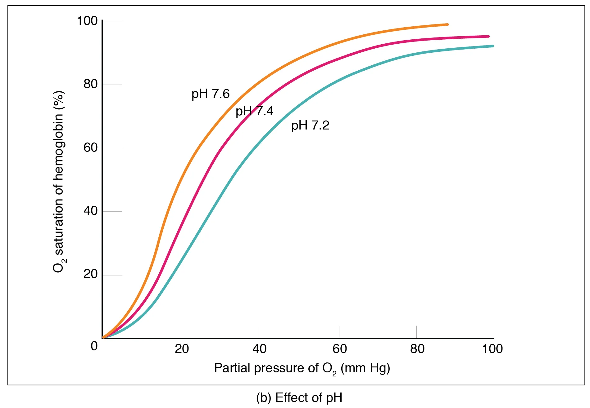 The middle panel shows oxygen saturation versus partial pressure of oxygen as a function of pH.