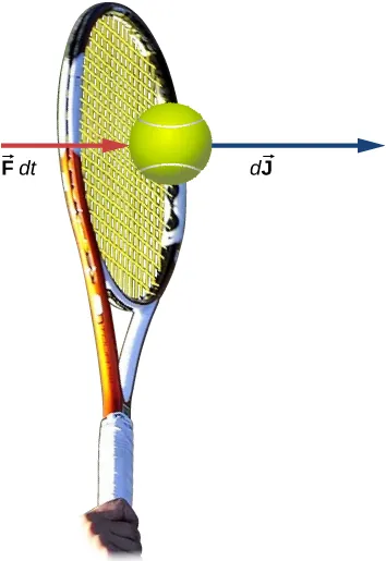 Dibujo de una raqueta golpeando una pelota de tenis. Cerca de la pelota se dibujan dos flechas que apuntan hacia la derecha. Una está marcada como vector F d t y la otra como vector d J.