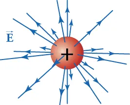 This figure shows a sphere with a plus sign at its center and arrows of varying lengths pointing in every direction away from it. Between the arrows to the left of the sphere is the letter E with an arrow above the letter, indicating that E is a vector.
