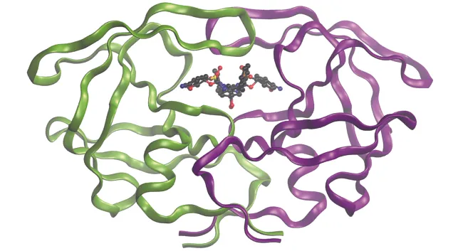 A diagram of a molecule is shown. The image shows a tangle of ribbon-like, intertwined, pink and green curling lines with a complex ball and stick model in the center.