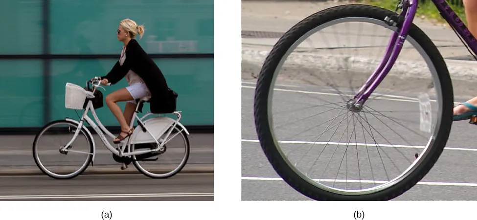 La Figura a es la fotografía de una persona montando en bicicleta. La cámara siguió la bicicleta, por lo que la imagen de la bicicleta y el piloto es nítida, el fondo está borroso debido al movimiento de la bicicleta. La Figura b es la fotografía de una rueda de bicicleta rodando por el suelo, con la cámara inmóvil respecto al suelo. La rueda y los radios están borrosos en la parte superior, pero están claros en la inferior.