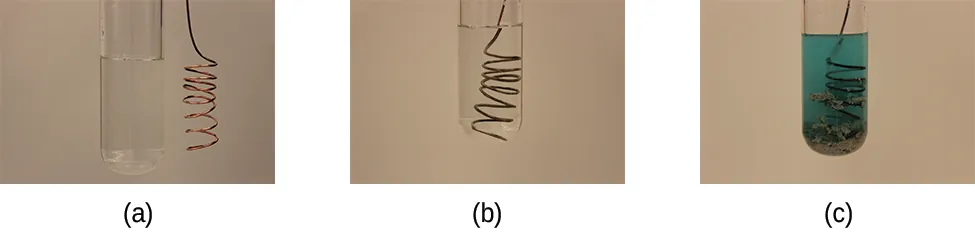 This figure contains three photographs. In a, a coiled copper wire is shown beside a test tube filled with a clear, colorless liquid. In b, the wire has been inserted into the test tube with the clear, colorless liquid. In c, the test tube contains a light blue liquid and the coiled wire appears to have a fuzzy silver gray coating.