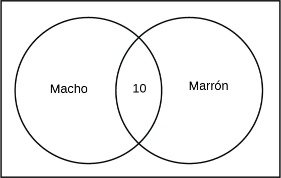 Esto es un diagrama de Venn, dos círculos superpuestos dentro de un rectángulo. El círculo de la izquierda está identificado como macho. El círculo de la derecha está marcado como marrón. La sección superpuesta muestra el número 10.