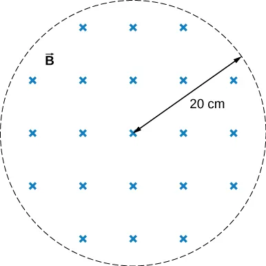 La figura muestra un campo magnético uniforme con un radio de 20 centímetros.