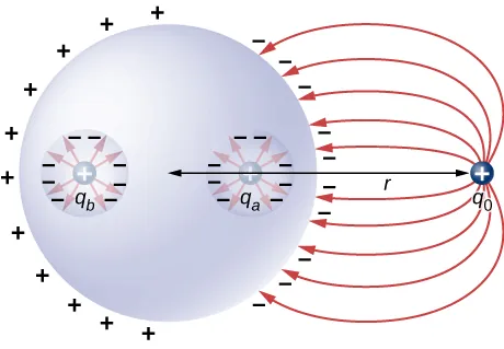 La figura muestra una esfera con dos cavidades. Una carga positiva qa está en una cavidad y una carga positiva qb está en la otra cavidad. Una carga positiva q0 está fuera de la esfera a una distancia r de su centro.
