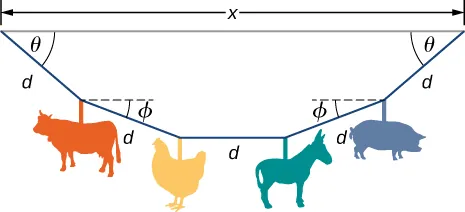 Rysunek ukazuje cztery figurki w kształcie zwierząt zawieszone na giętkiej lince, która przymocowana jest na jej końcach do łóżeczka dziecięcego. Kształty są rozłożone na lince symetrycznie, w odległości d od siebie. Środkowa część linki ma kierunek poziomy. Odległość między końcami linki po zawieszeniu wynosi x. Kąt między poziomem a drugim segmentem liny wynosi theta. Kąt utworzony między pierwszym segmentem liny a poziomem wynosi phi.