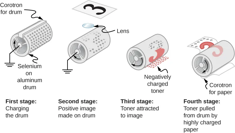 The figure illustrates the four stages of Xerography – charging the drum, positive image made on drum, toner attached to image and toner pulled from drum by highly charged paper.