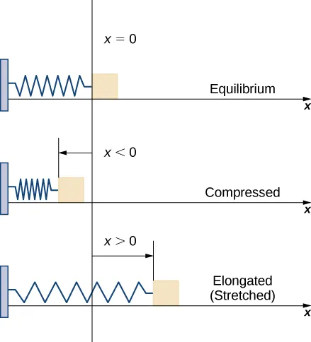 This figure has three images. The first is the x-axis. On the left is a vertical block. Attached to the block is a spring that ends at the y-axis and has the label x=0. The image is labeled equilibrium. The second image is the same spring that ends before the y-axis. It has x<0 and is labeled compressed. The third image is the same spring that is beyond the y-axis. It has x>0 and is labeled stretched.