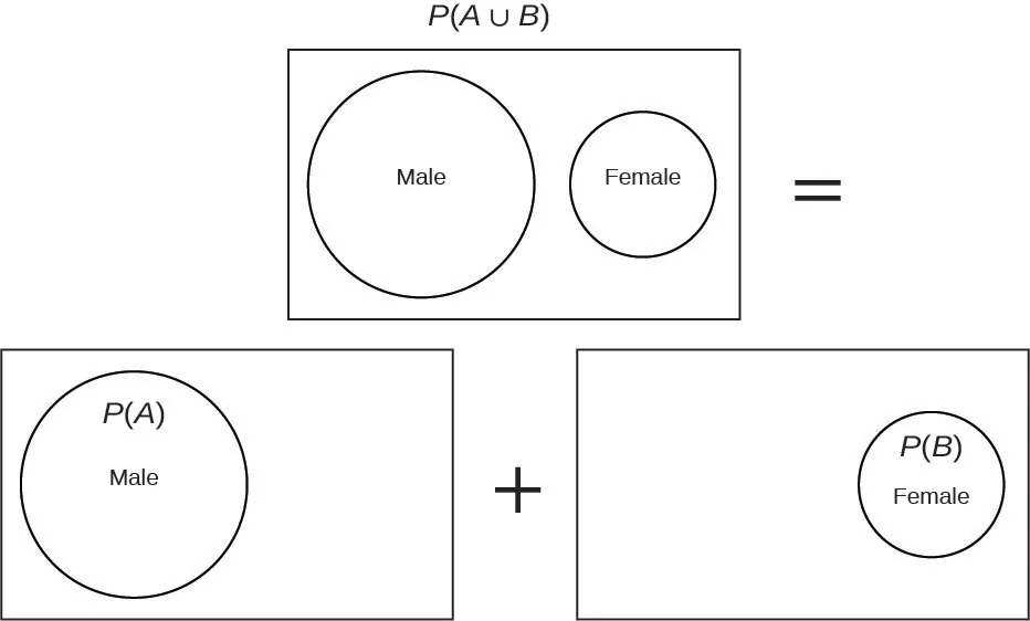 Venn diagrams model the formula for P(A and B) in the special case where A and B do not overlap. P(A union B) is represented by two separate (non-overlapping) circles inside a rectangle. The left circle is labeled Male. The right circle is labeled Female. To the right of this diagram is an equal sign. A sum of diagrams is on the line below. The left diagram shows only the Male circle inside the rectangle and is labeled P(A). Between the diagrams is a plus sign. The right diagram shows only the Female circle inside the rectangle and is labeled P(B).