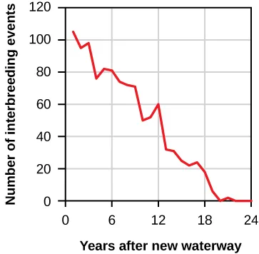 The figure is a line graph. The x-axis is labelled Years after new waterway and has tick marks for every whole number from 1 to 24. The y-axis is labelled Number of interbreeding events and has tick marks for 0, 20, 40, 60, 80, 100, 120. The lines origin begins at above 100 interbreeding events. The line follows a general downward path with some small peaks. In Years 22 to 24, the value is near 0 percent.