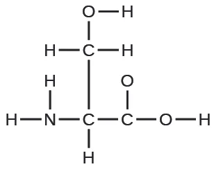 Se muestra una estructura de Lewis. Un átomo de nitrógeno está unido con enlace simple a dos átomos de hidrógeno y a un átomo de carbono. El átomo de carbono está unido con enlace simple a un átomo de hidrógeno y a otros dos átomos de carbono. Uno de estos átomos de carbono está unido con enlace simple a dos átomos de hidrógeno y a un átomo de oxígeno. El átomo de oxígeno está unido a un átomo de hidrógeno. El otro átomo de carbono está unido con enlace simple a dos átomos de oxígeno, uno de los cuales está unido a un átomo de hidrógeno.