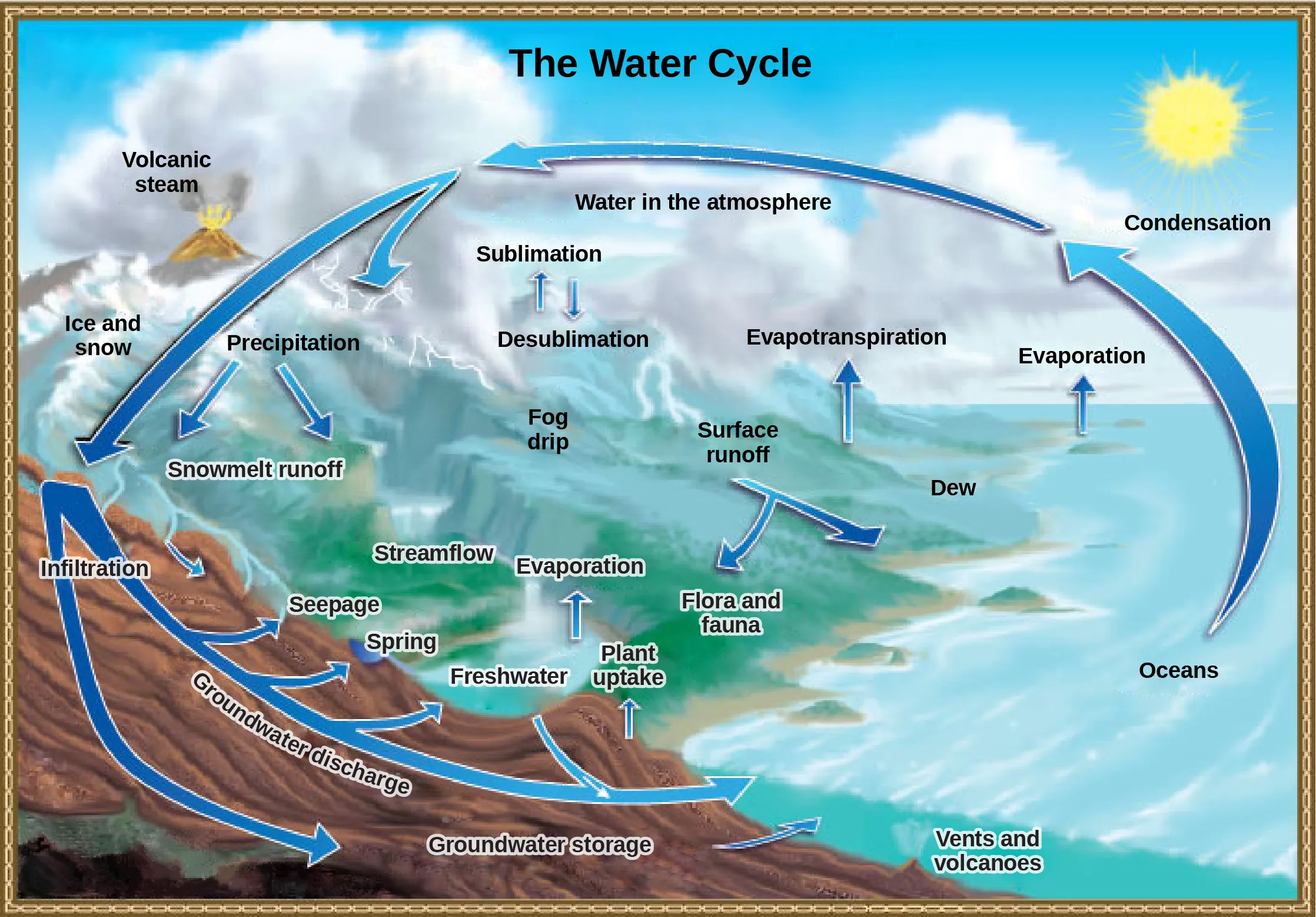  Illustration shows the water cycle. Water enters the atmosphere through evaporation, evapotranspiration, sublimation, and volcanic steam. Condensation in the atmosphere turns water vapor into clouds. Water from the atmosphere returns to the Earth via precipitation or desublimation. Some of this water infiltrates the ground to become groundwater. Seepage, freshwater springs, and plant uptake return some of this water to the surface. The remaining water seeps into the oceans. The remaining surface water enters streams and freshwater lakes, where it eventually enters the ocean via surface runoff. Some water also enters the ocean via underwater vents or volcanoes.