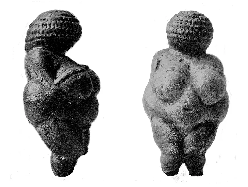 A female Paleolithic figurine, Venus of Willendorf, shown from the side and front. The stone statue has large breasts and a round torso.