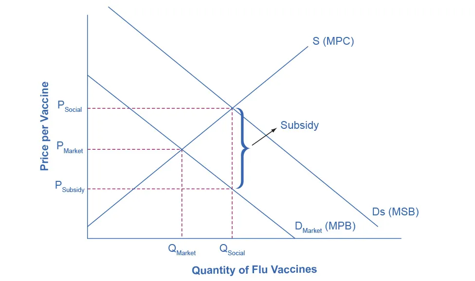 The graph shows the market for flu shots: flu shots will go under produced because the market does not recognize their positive externality. If the government provides a subsidy to consumers of flu shots, equal to the marginal social benefit minus the marginal private benefit, the level of vaccinations can increase to the socially optimal quantity of QSocial.