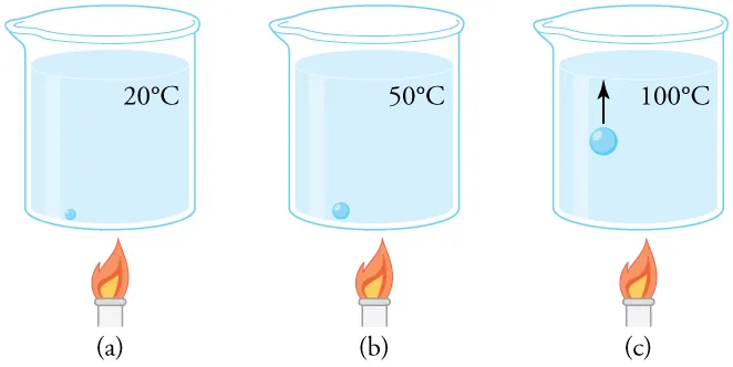 A beaker of water being heated over a flame. The beaker is shown at three different times. In the first, at twenty degrees C, a small bubble sits on the bottom of the beaker. In the second step, the water temperature is fifty degrees C and the bubble is larger, though still sitting on the bottom of the beaker. In the third step, the water temperature is one hundred degrees C. The bubble is larger and is rising toward the surface.