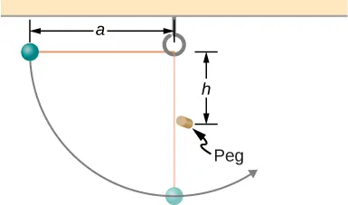 A small ball is shown attached to a string of length a. A small peg is located a distance h below the point where the string is supported. The ball is released when the string is horizontal  and swings in a circular arc.