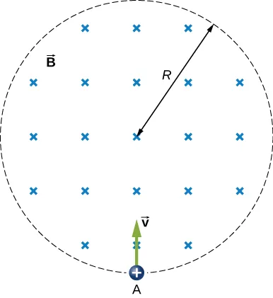 La figura muestra un protón llevado a un campo magnético uniforme con un radio R.