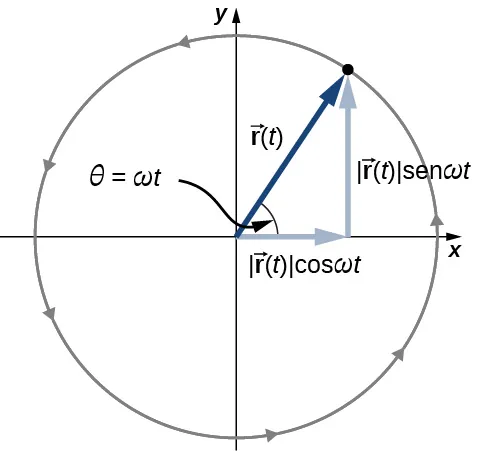 Se muestra un círculo de radio r, centrado en el origen de un sistema de coordenadas x y. El radio r de t es un vector que va desde el origen a un punto de la circunferencia y forma un ángulo theta igual a omega t con la horizontal. El componente x del vector r es la magnitud de r de t por el coseno de omega t. El componente y del vector r es la magnitud de r de t por el seno de omega t. La circulación es en sentido contrario de las agujas del reloj alrededor del círculo.