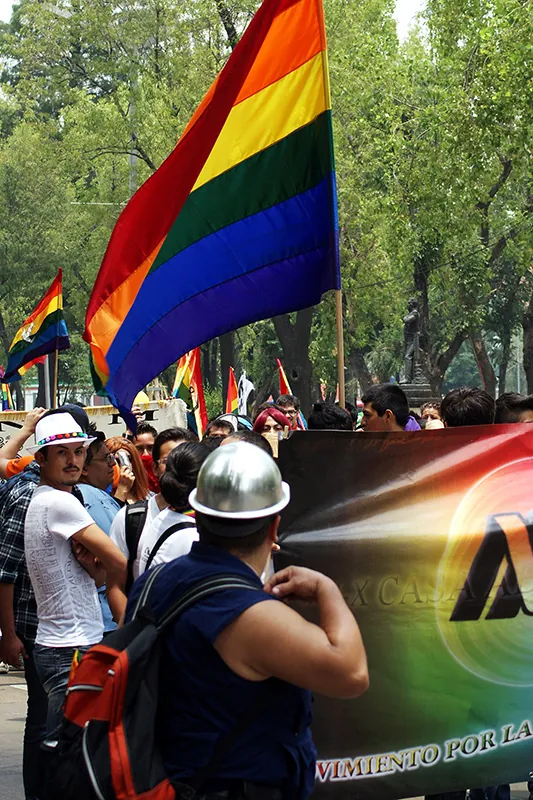 A photo shows a crowd of people holding rainbow flags participating in the Annual Pride Parade.