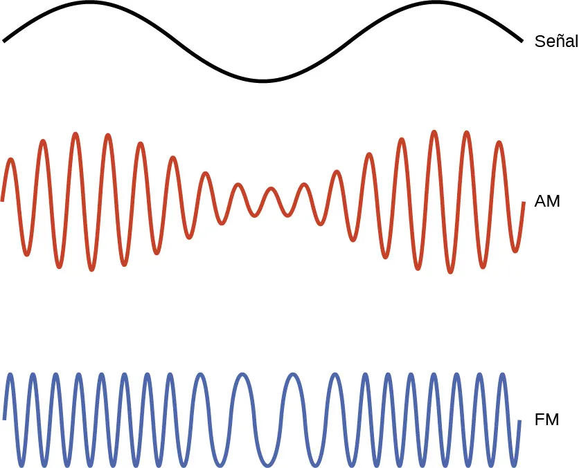Esta figura muestra 3 diagramas de onda. El primer diagrama de ondas está en negro y muestra dos crestas, indica una distancia consistente desde el pico hasta el valle, y tiene un valle en su extensión a través de la página. La etiqueta "Señal" aparece a la derecha. Debajo, se muestra un diagrama de ondas en rojo. La onda incluye dieciséis crestas, pero la distancia entre los picos y los valles de las ondas consecutivas varía al desplazarse por la página. La distancia entre el pico y el valle es mayor en la región que se encuentra por debajo de los picos del diagrama de ondas negras, y la distancia entre el pico y el valle es igualmente menor por debajo del valle del diagrama de ondas negras. Este diagrama de onda roja está etiquetado como "A M". El diagrama de la tercera onda se muestra en azul. La distancia entre los picos y los valles de las ondas consecutivas es constante a lo largo de la página, pero los picos y los valles están más juntos en la región que se encuentra por debajo de los picos del diagrama de ondas negro en la parte superior de la figura. Los picos y valles están relativamente espaciados por debajo de la región de valles del diagrama de ondas negras. Este diagrama de onda azul está etiquetado como "F M".