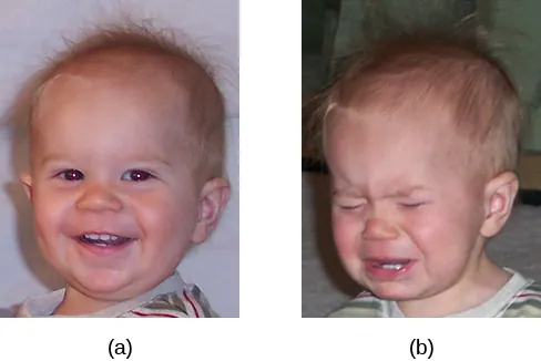 Photograph A shows a toddler laughing. Photograph B shows the same toddler crying.