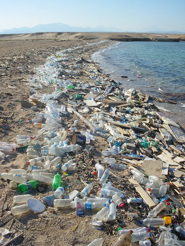 A massive amount of plastic and other waste litters a shoreline.