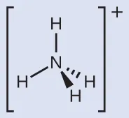 Una estructura de Lewis representa un átomo de nitrógeno unido con enlace simple a cuatro átomos de hidrógeno. La estructura está rodeada de corchetes y tiene un signo positivo en superíndice. Esta figura utiliza guiones y cuñas para mostrar sus tres planos en forma tetraédrica.