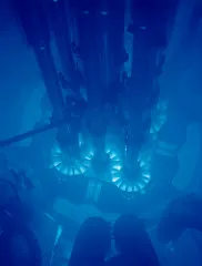 La imagen es una fotografía del resplandor azul que se produce en un reactor en estanque.