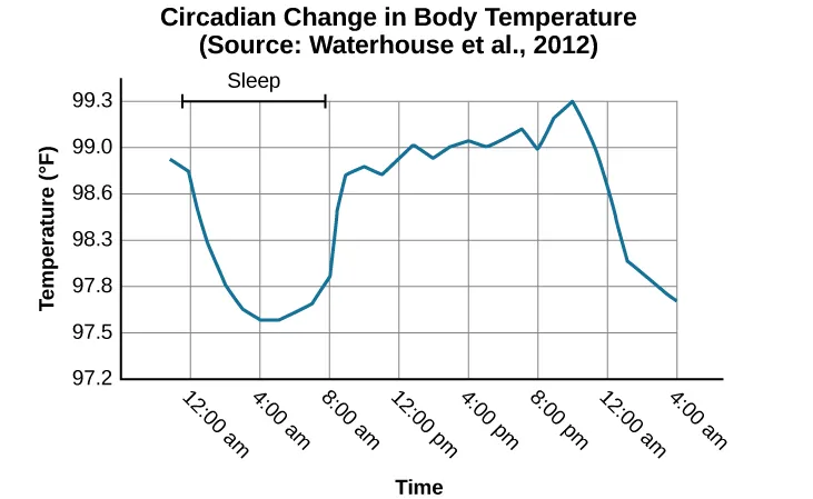 A line graph is titled “Circadian Change in Body Temperature (Source: Waterhouse et al., 2012).” The y-axis, is labeled “temperature (degrees Fahrenheit),” ranges from 97.2 to 99.3. The x-axis, which is labeled “time,” begins at 12:00 A.M. and ends at 4:00 A.M. the following day. The subjects slept from 12:00 A.M. until 8:00 A.M. during which time their average body temperatures dropped from around 98.8 degrees at midnight to 97.6 degrees at 4:00 A.M. and then gradually rose back to nearly the same starting temperature by 8:00 A.M. The average body temperature fluctuated slightly throughout the day with an upward tilt, until the next sleep cycle where the temperature again dropped. 