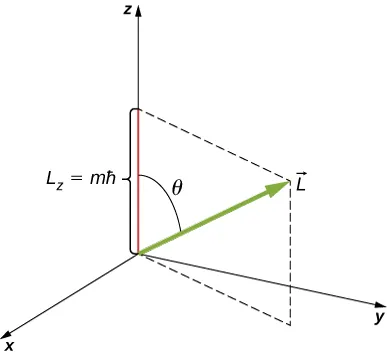 Układ współrzędnych x y z. Wektor L jest nachylony pod kątem teta do dodatniej osi z a składowa zetowa wynosi L sub z równa się m razy h kreślone. Składowe x-owa i y-owa mają wartości dodatnie, ale nie są opisane.