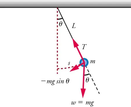 A pendulum is shown with a small-diameter bob and a string that has a very small mass but is strong enough not to stretch. The linear displacement from equilibrium is labeled s, the length of the arc. Also shown are the forces on the bob, which result in a net force of  negative m times g sine angle toward the equilibrium position.
