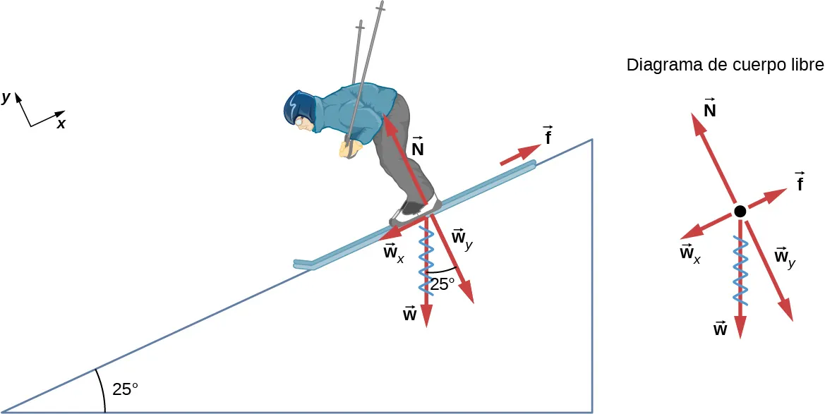 La figura muestra a una persona esquiando por una pendiente de 25 grados con respecto a la horizontal. La fuerza f es ascendente y paralela a la pendiente, la fuerza N es ascendente y perpendicular a la pendiente. La fuerza w es directa hacia abajo. Su componente wx es descendente y paralelo a la pendiente y el componente wy es descendente y perpendicular a la pendiente. Todas estas fuerzas se muestran también en un diagrama de cuerpo libre. El eje de la x se toma como paralelo a la pendiente.