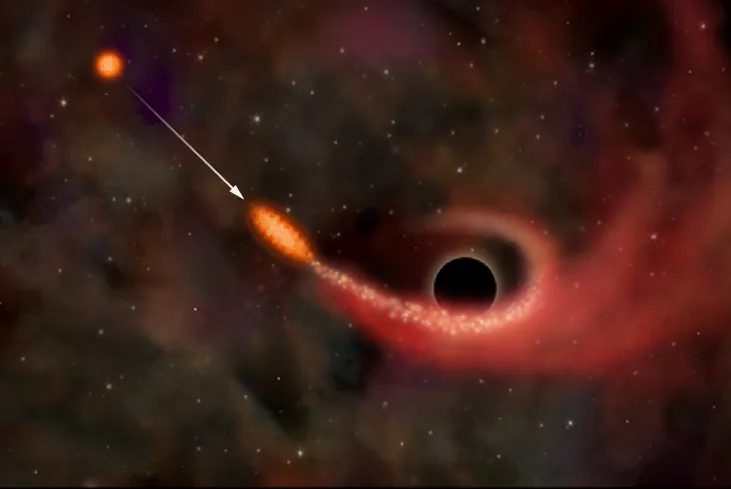 Black Hole Consuming a Star. This illustration shows three stages of a star (red circle at upper left) swinging too close to a giant black hole (black circle just to the right of center). The star starts off in its normal spherical shape. A white arrow indicates its motion toward the black hole. As it gets closer, it begins to be pulled into a long football shape by tides raised by the black hole. When the star gets closer still, the tides become stronger than the gravity holding the star together and it breaks up into a stream of gas spiraling inward to the black hole.