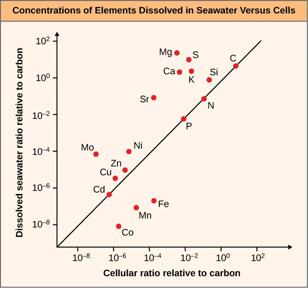 The graph is a scatter plot that shows dissolved seawater ratio relative to carbon on the y-axis, ranging from 10 to the minus 8 to 10 squared. The graph shows cellular ratio relative to carbon on the y-axis, ranging from 10 to the minus 8 to 10 squared. A diagonal trend line rises at a 45 degree angle from the bottom left to the upper right of the graph. The following elements cluster in the lower left corner of the plot line, within the 10 to the minus 4 values for both axes: C D, C O, M N, F E, C U, Z N, N I, and M O. The following elements cluster near the upper right corner of the plot line, above 10 to the minus 2 values for both axes: S R, P, N, K, C A , S I, S, M G, and C.