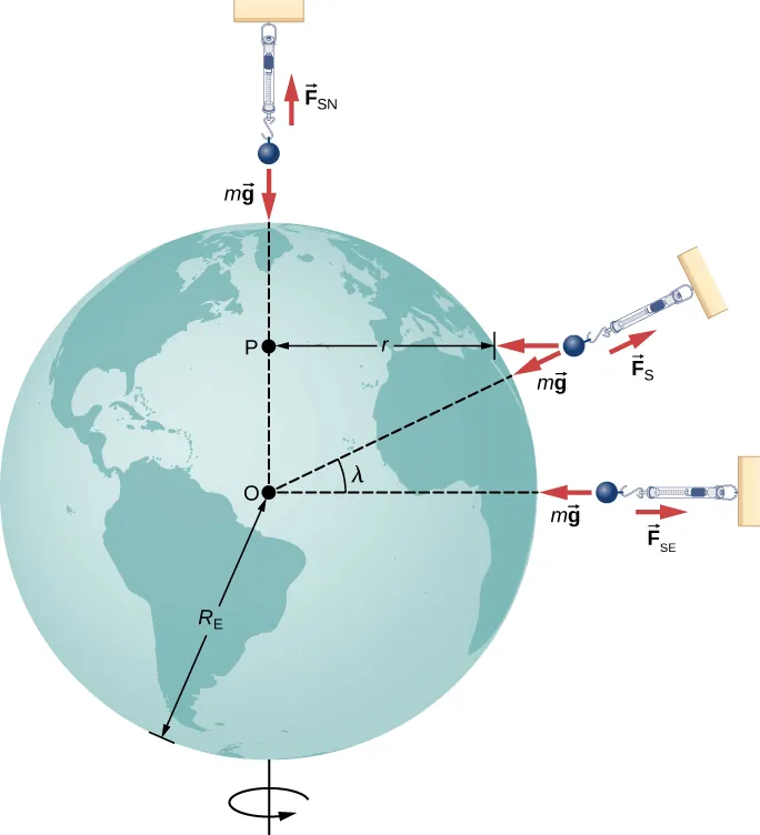 Ilustración de la Tierra, girando sobre su eje norte-sur, donde se muestran en tres lugares las masas en dinamómetros. El radio de la tierra está etiquetado como R E, su centro está etiquetado como O. Un dinamómetro está sobre el polo norte. Se muestra una fuerza ascendente F S N y una fuerza descendente m g que actúan sobre la masa del dinamómetro. Se muestra una línea discontinua desde el centro de la tierra hasta el polo norte. A la derecha del ecuador se muestra otro dinamómetro y una línea discontinua conecta el centro de la tierra con el ecuador en el lado derecho de la tierra. Las fuerzas sobre la masa en este segundo dinamómetro se muestran como una fuerza F S E a la derecha y m g a la izquierda. Se muestra un tercer dinamómetro en un ángulo lambda respecto a la horizontal. Se muestra una línea discontinua en este ángulo desde el centro hasta la superficie de la tierra. La distancia horizontal desde la superficie de la tierra en este ángulo lambda hasta la línea vertical discontinua que conecta el centro con el polo norte se etiqueta como r. El punto de la línea vertical discontinua en el que se encuentra r está etiquetado como P. Se muestran tres fuerzas para la tercera masa. Una de las fuerzas se denomina F S y apunta radialmente hacia afuera. Una segunda fuerza, denominada m g apunta radialmente hacia adentro. Una tercera fuerza, denominada F c, apunta horizontalmente hacia la izquierda.