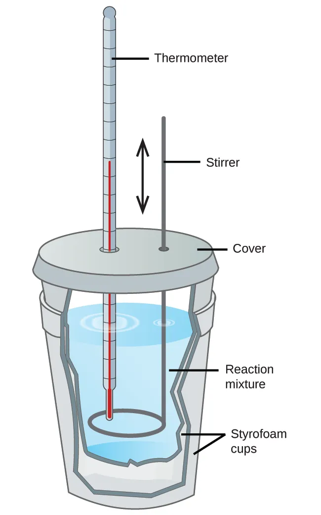 Two Styrofoam cups are shown nested in one another with a cover over the top. A thermometer and stirring rod are inserted through the cover and into the solution inside the cup, which is shown as a cut-away. The stirring rod has a double headed arrow next to it facing up and down. The liquid mixture inside the cup is labeled “Reaction mixture.”