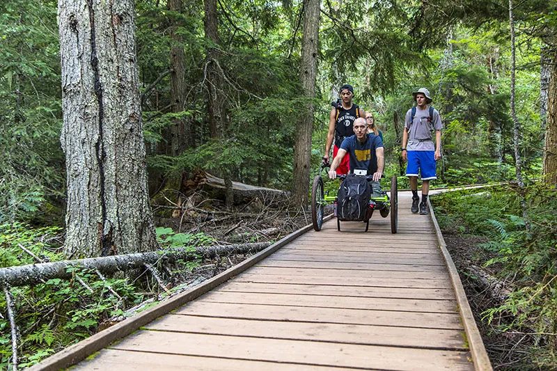 Four people walk on a pathway in a dense forest. The person in the lead is using a wheelchair, and they all have backbacks.